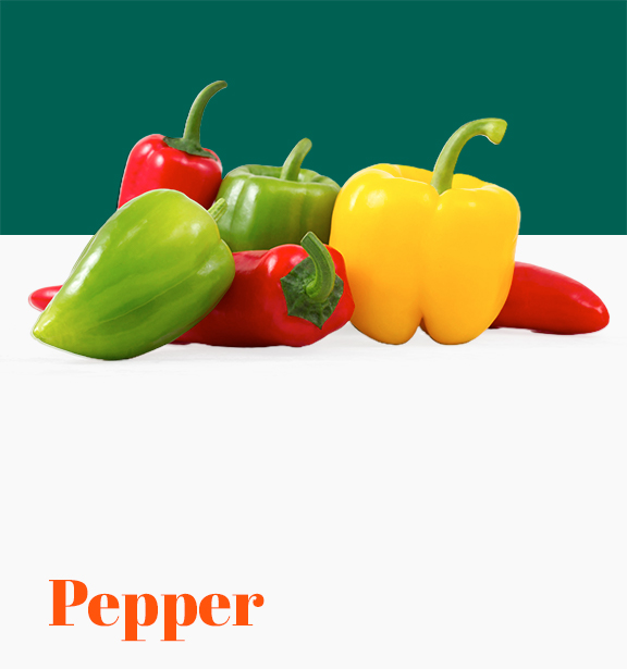 Pepper