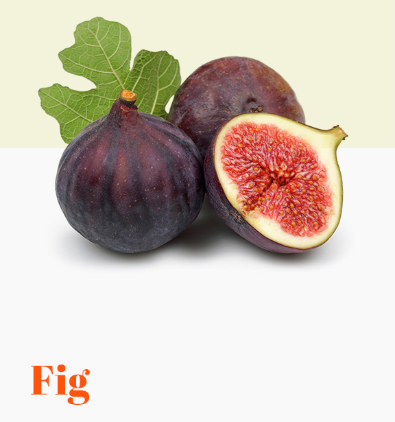 Fig