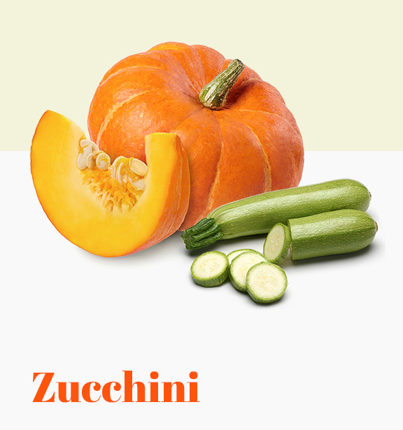 Zucchini