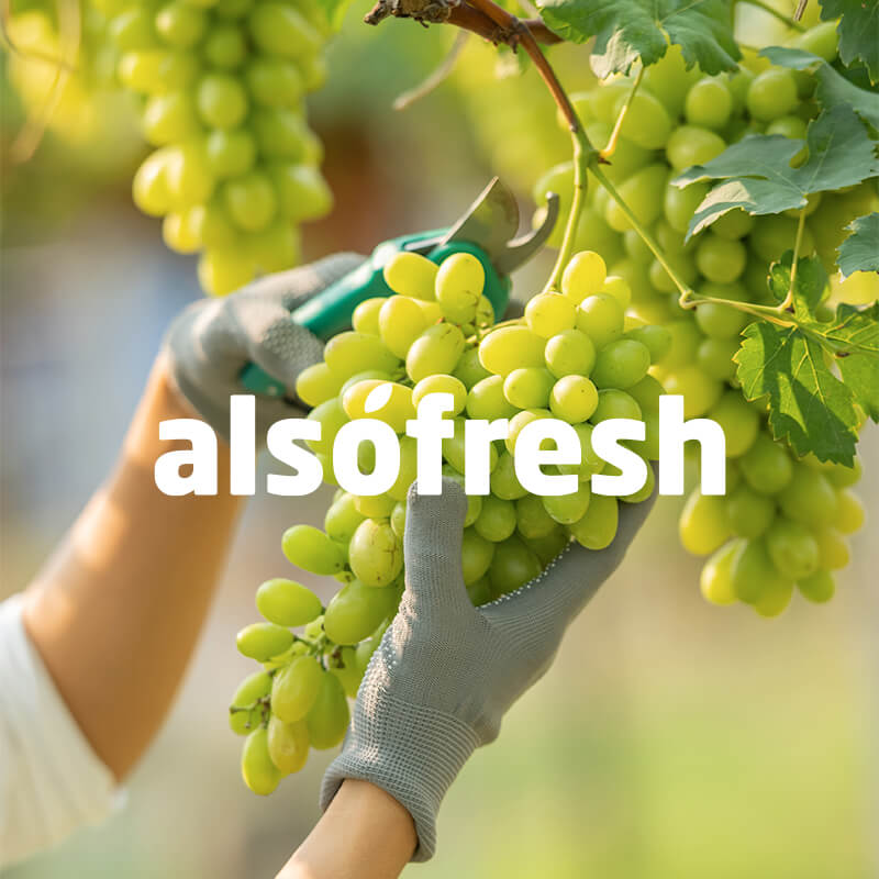 AlsoFresh