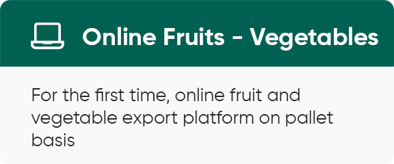 Online Fruits - Vegetables