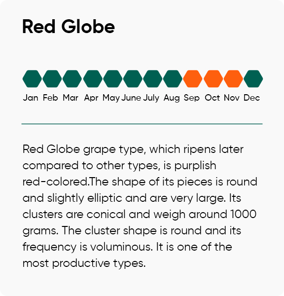 Red Globe