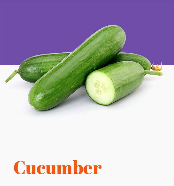 Cucumber