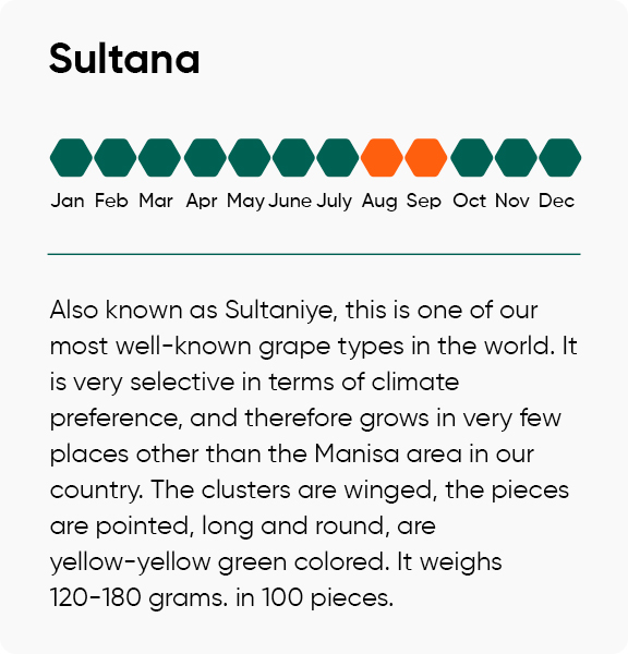 Sultana