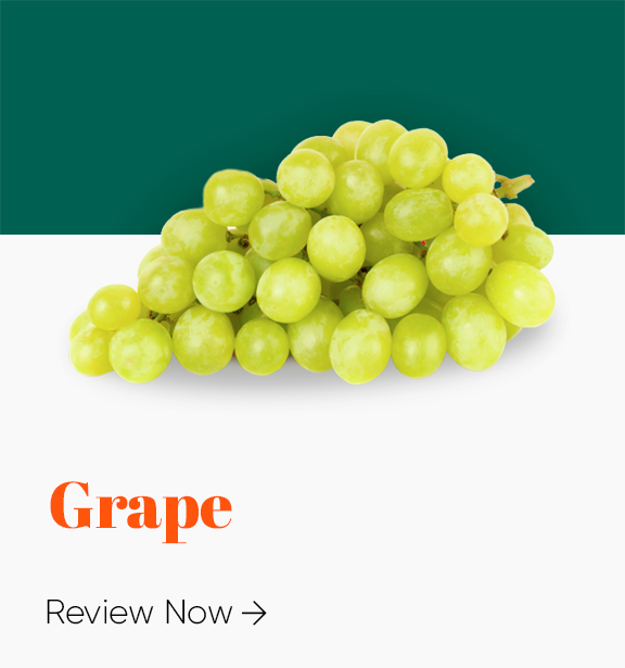 Grape