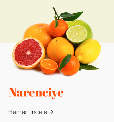 Narenciye