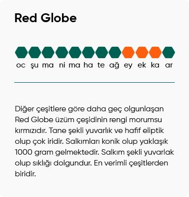 Red Globe