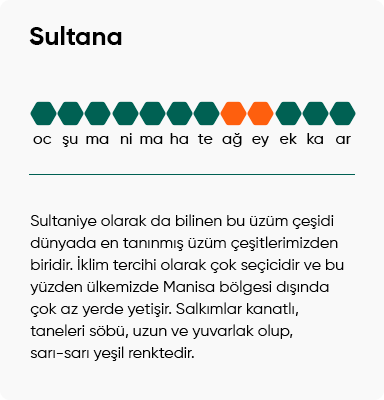 Sultana