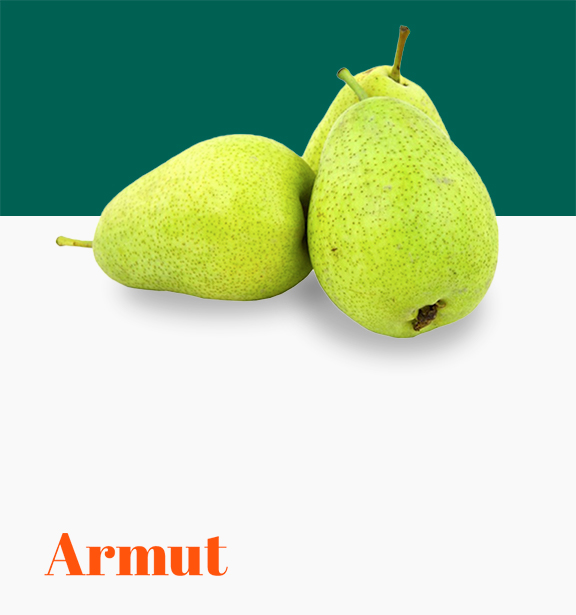 Armut