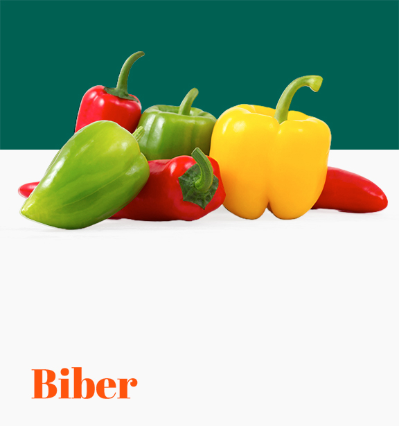 Biber