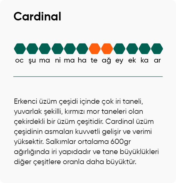 Cardinal Üzüm