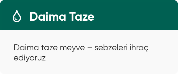 Daima Taze