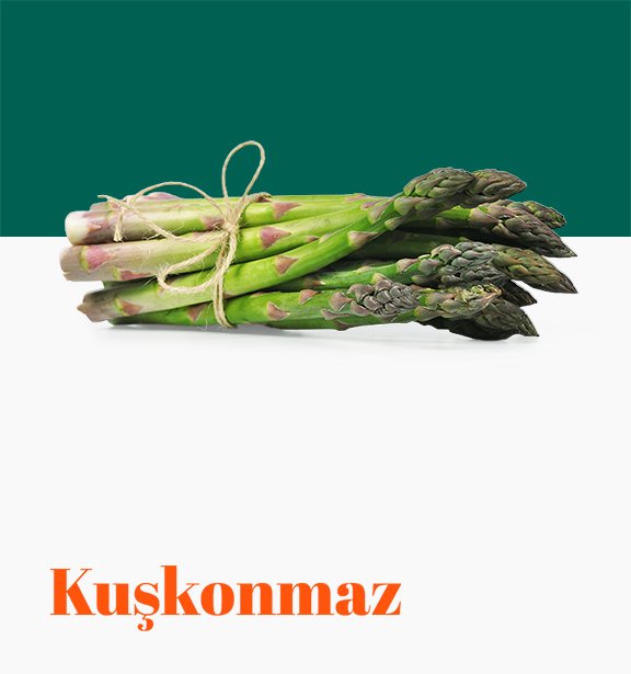 Kuşkonmaz