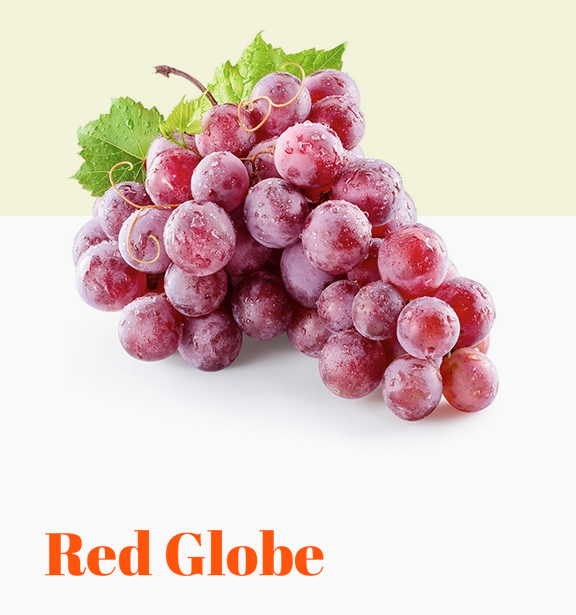 Red Globe