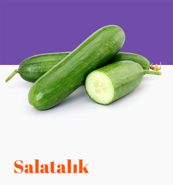 Salatalık