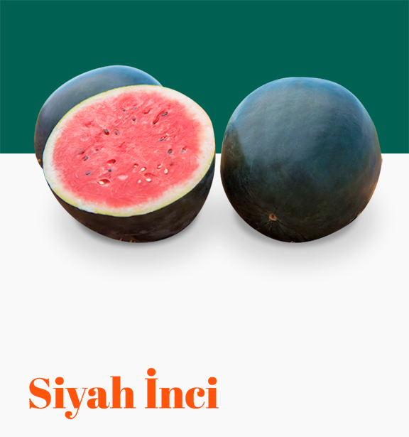 Siyah İnci