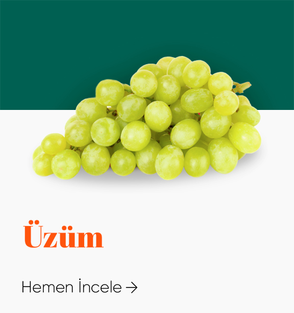 Üzüm