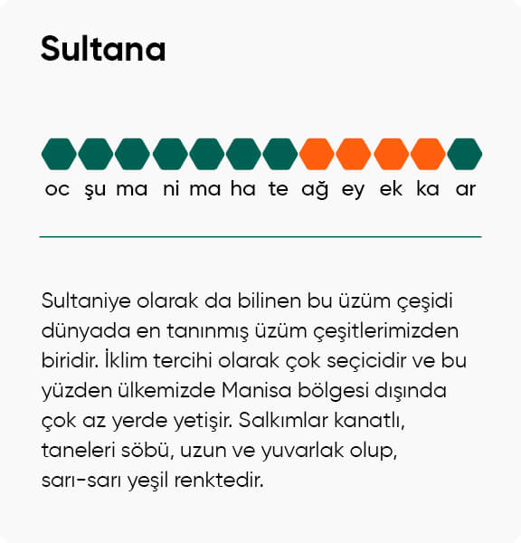 Sultana